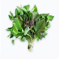 Rau thơm hỗn hợp trồng tự nhiên
